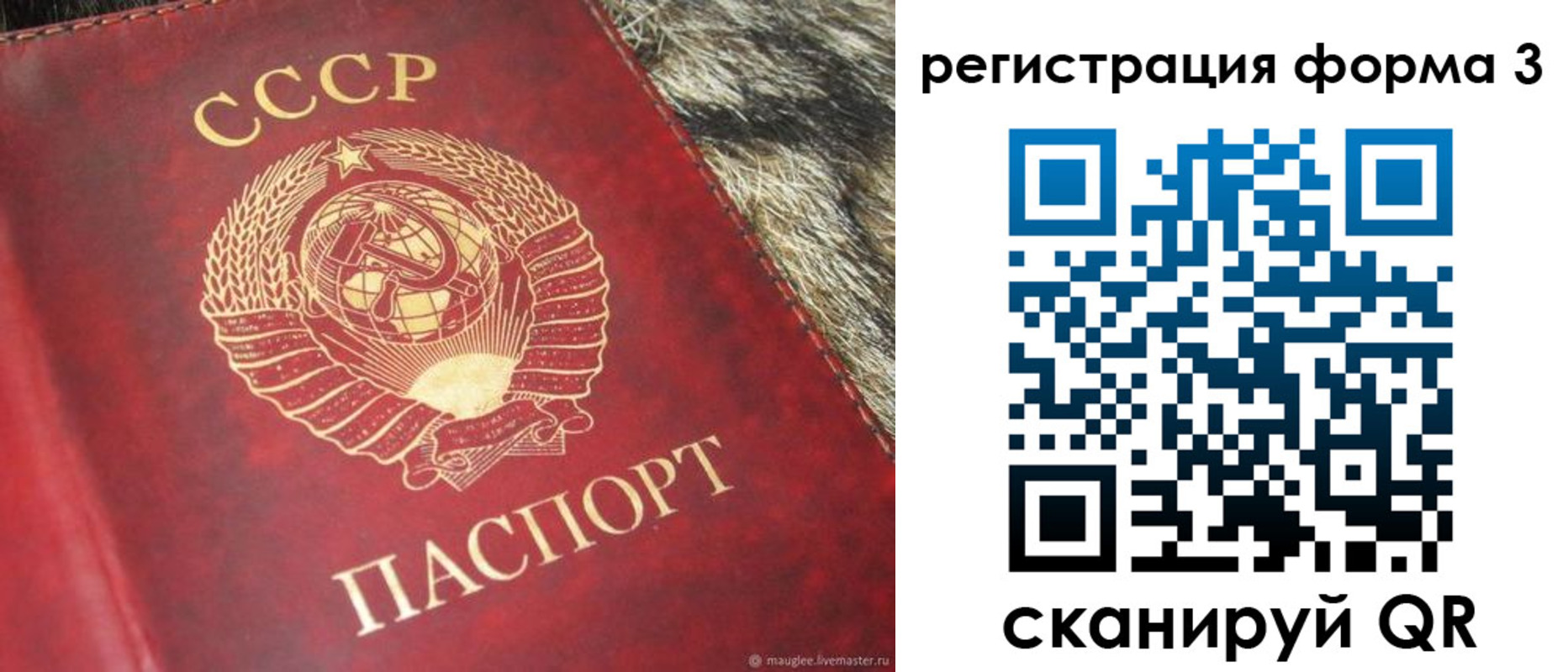 прописка регистрация в Североморске